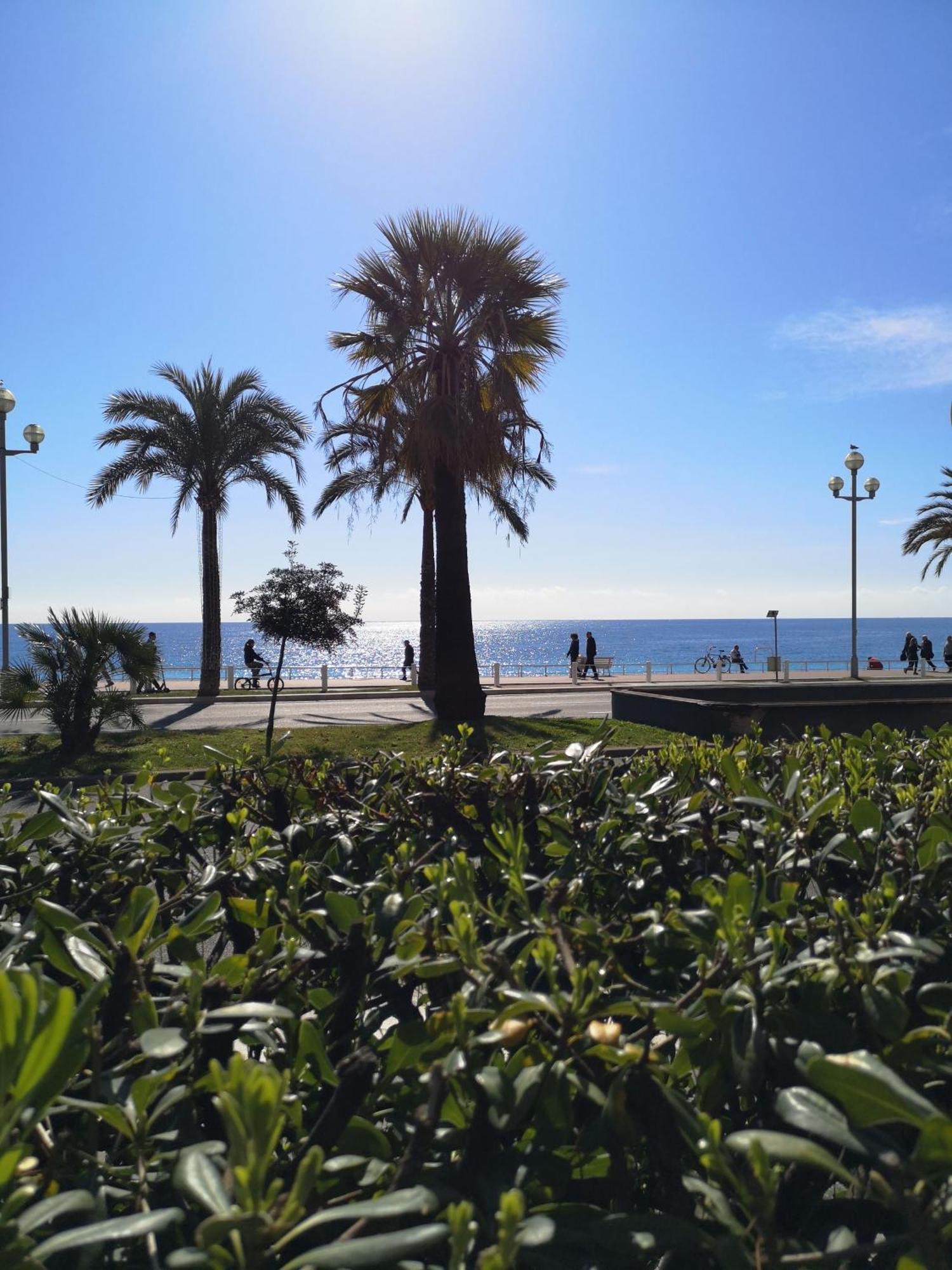 Garden Atlantide Promenade Apartment Nice Luaran gambar