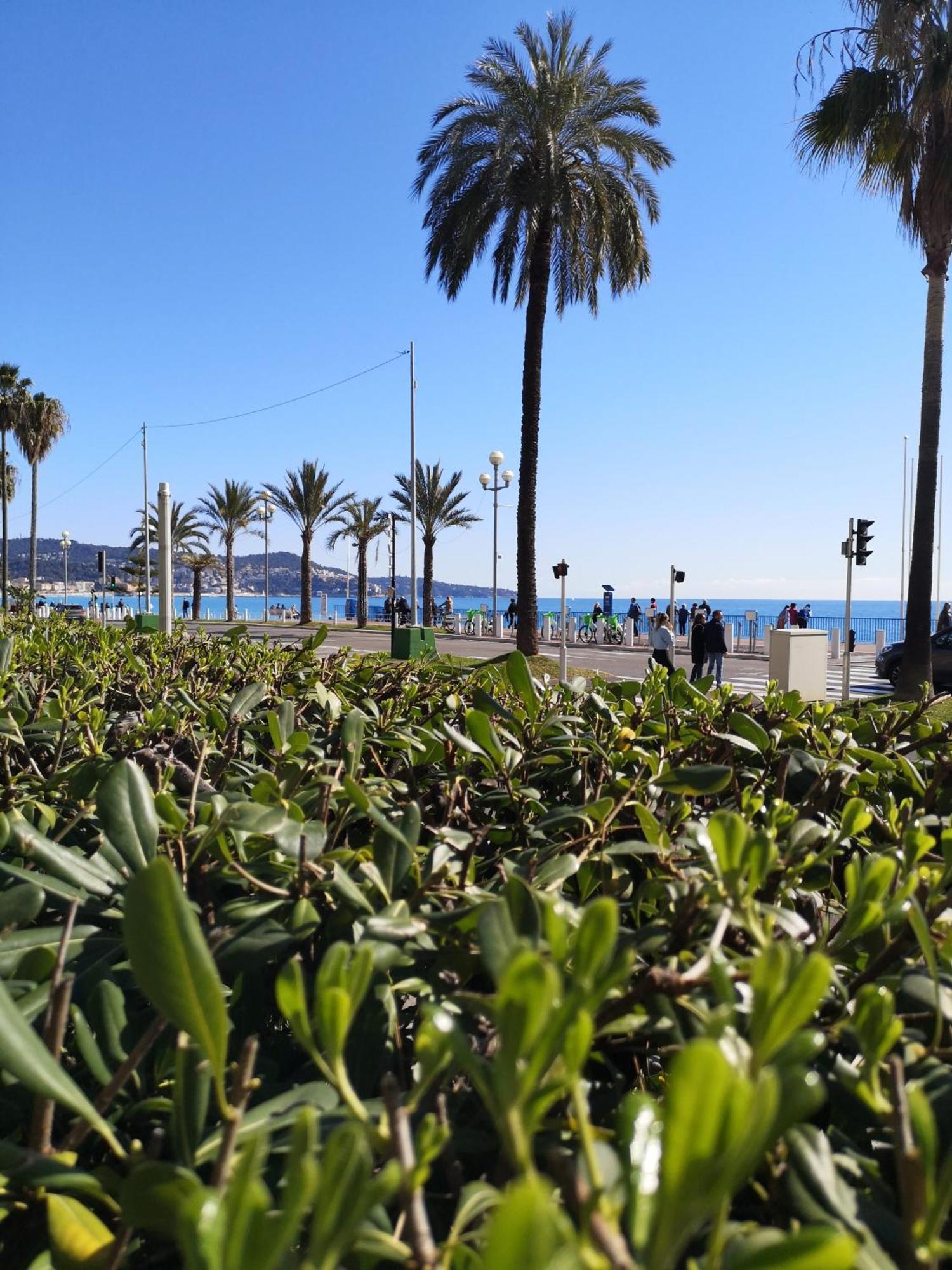 Garden Atlantide Promenade Apartment Nice Luaran gambar