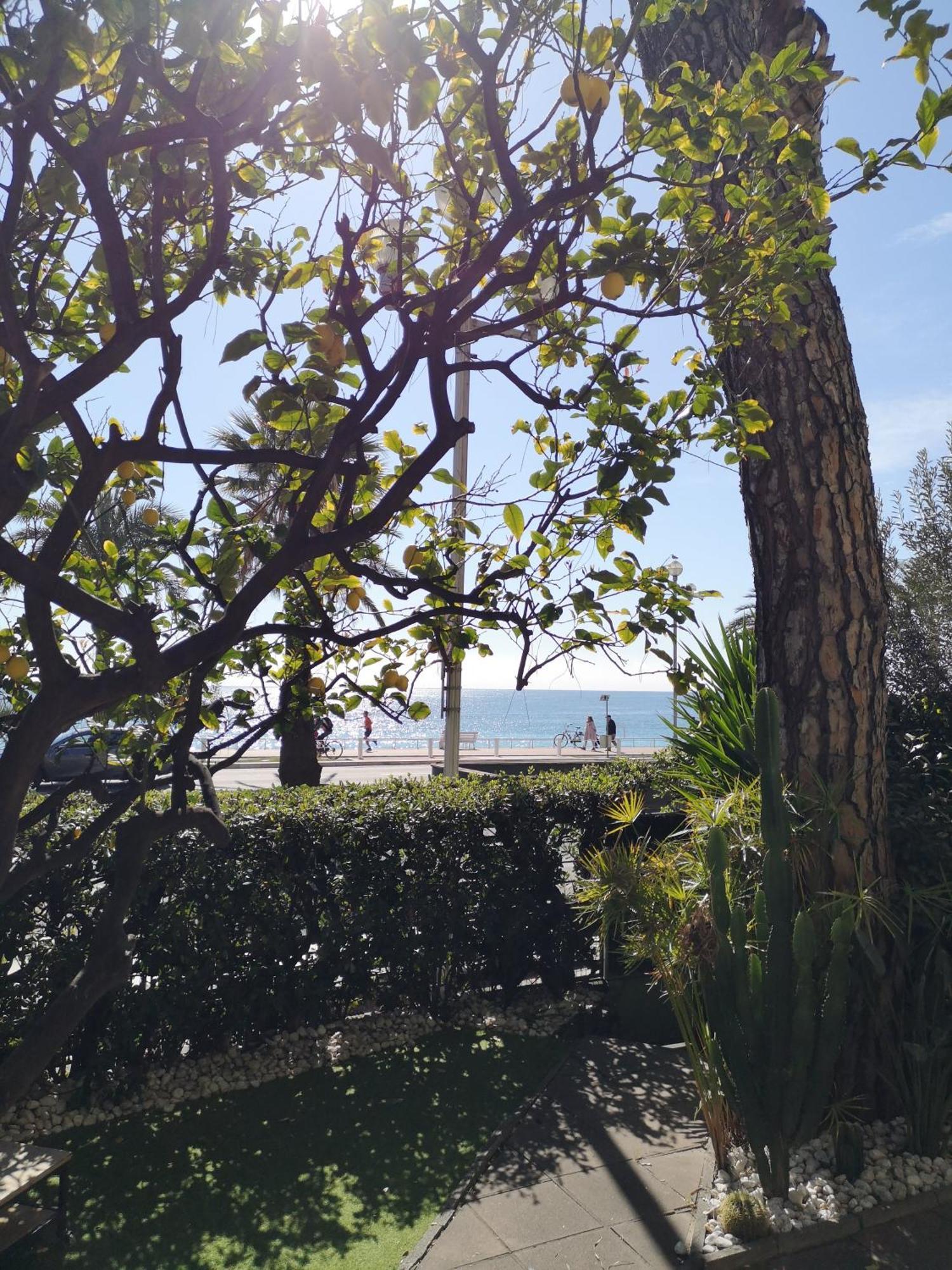 Garden Atlantide Promenade Apartment Nice Luaran gambar