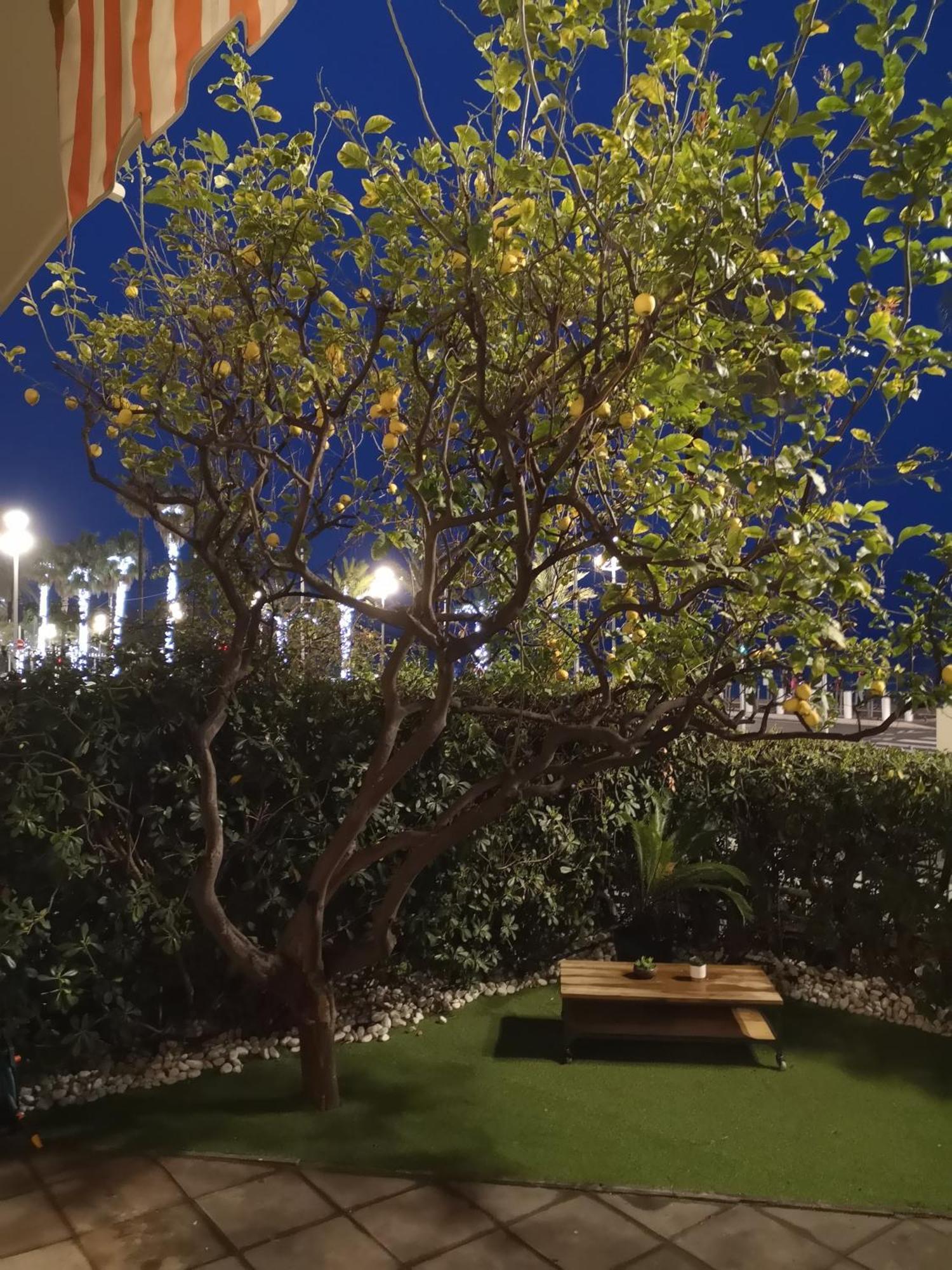 Garden Atlantide Promenade Apartment Nice Luaran gambar