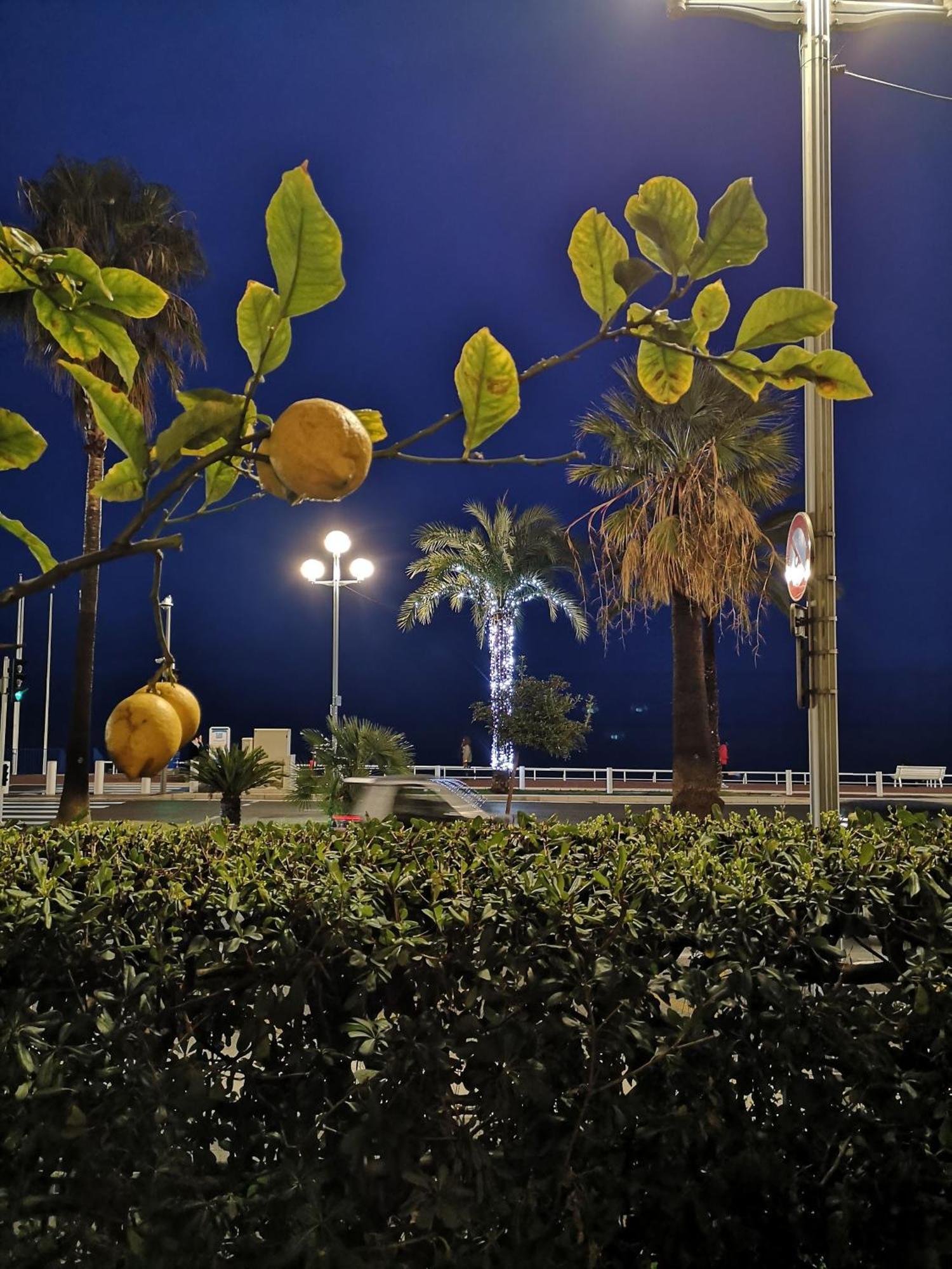 Garden Atlantide Promenade Apartment Nice Luaran gambar
